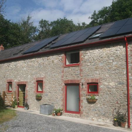 Creatively Converted Barn In Accessible Rural Spot Llanwrda Eksteriør billede